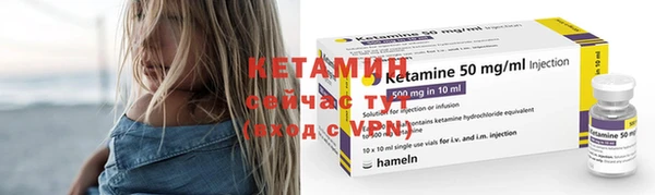 стаф Гусь-Хрустальный