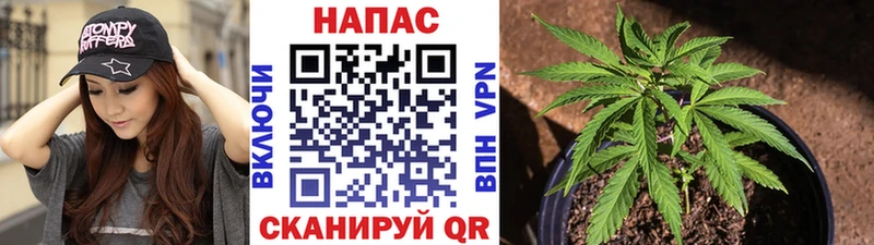 Конопля марихуана  наркота  mega рабочий сайт  Донецк 